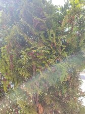 20200810_142422.jpg