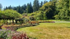 StanleyParkRoseGarden_Cutler_20200814_140421.jpg