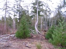 20100107.jpg