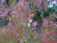 08.18.20 06.47 AM2.jpg