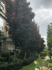 E2810744-6F25-4674-885B-4FC1A8172A31.jpeg