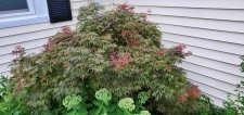 20200813_181426.jpg