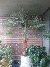 20200922_161018.jpg