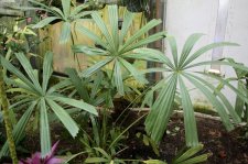 IMG_2784.jpg