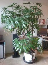 20200924_174216.jpg