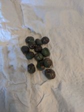 IMG_20200925_132543.jpg