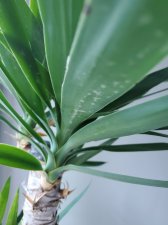 20201005_175307.jpg