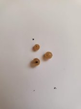20201009_152503.jpg