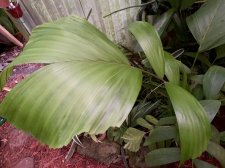 IMG_7204.jpg
