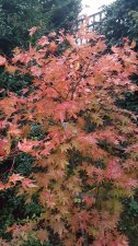 20201015_181025.jpg