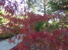 DSCN0750.jpg