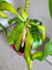 20201025_141516.jpg