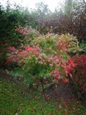 IMG_20201027_082419.jpg