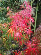 IMG_20201027_082510.jpg