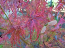 DSCN2219.jpg