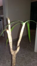 20201105_200638.jpg