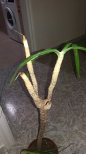 20201105_200643.jpg
