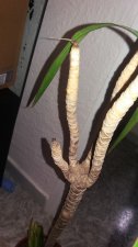20201105_200626.jpg