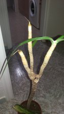 20201105_200619.jpg