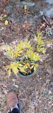 20201107_082051.jpg