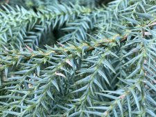 IMG_3587.JPG