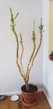 20201221_102833.jpg