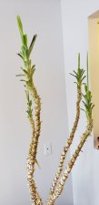 20201221_102846.jpg