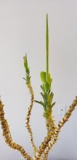 20201221_102854.jpg