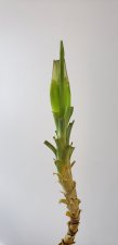 20201221_102903.jpg