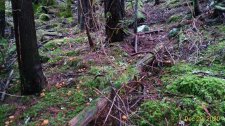 P_20201220_102306_vHDR_Auto.jpg