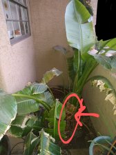 IMG_20210108_173434160~2.jpg
