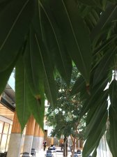 IMG_1627.JPG