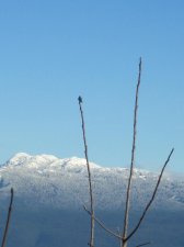 IMG_4781.JPG