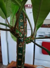 20210218_090224.jpg