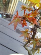 20210302_175701.jpg