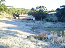 geada_em_sao_joaquim_-_13_06_2004.jpg