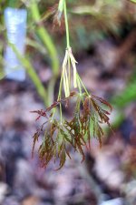 DSC01346.JPG