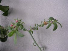 DSCN3011.JPG