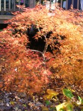 DSCN0216.JPG