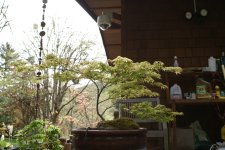 DSC01060.JPG