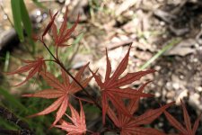 DSC02558.JPG