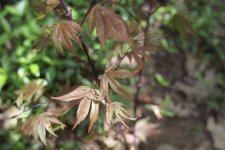 DSC02590.JPG