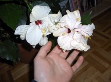 Picture 041.jpg