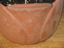 pot_mold.jpg