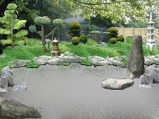 shaynesgarden.jpg