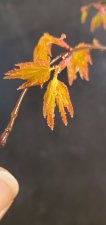 20210328_175723.jpg