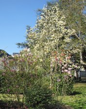 re-IMG_7181.jpg