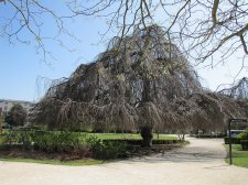 re-IMG_7184.jpg