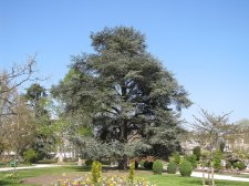 re-IMG_7189.jpg
