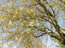 re-IMG_7210.jpg